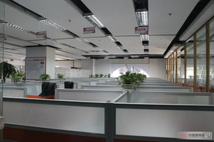 专业系统，浪漫启航 qingganlan探店Sunny喜铺，揭秘一站式婚庆设计服务