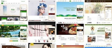 成都专业网站建设、网站设计与网页制作 品质服务第一，专业设计领航